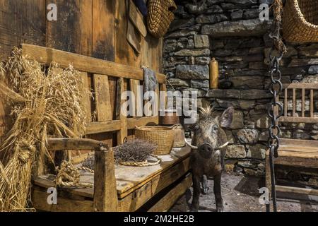 Diorama of croft House at the Shetland Museum & Archives / Shetland Museum and Archives at Hay's Dock, Lerwick, Shetland, Scotland, UK | le Shetland Museum and Archives, musée à Lerwick, Shetland, Ecosse 11/06/2018 Foto Stock