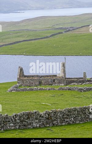 Pietra a secco / muro a secco e resti di croft, abbandonato durante le radunanze Highland, Isole Shetland, Scozia, UK | Croft, habitation du crofter abandonnée, Shetland, Ecosse 05/07/2018 Foto Stock