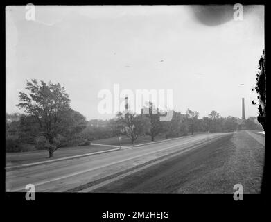 Dipartimento di distribuzione, Chestnut Hill Reservoir, lavorare su Elm inglese alberi lungo Beacon Street, guardando verso Chestnut Hill stazioni di pompaggio Brighton, Mass., Nov. 1920-1921 , opere d'acqua, alberi Foto Stock