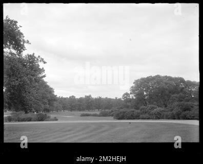 Dipartimento di distribuzione, Chestnut Hill Reservoir, lavorare su alberi di Elm inglesi lungo Beacon Street; vicino alle stazioni di pompaggio di Chestnut Hill?, Brighton, Mass., 1920-1921 novembre , acquedotto, alberi Foto Stock