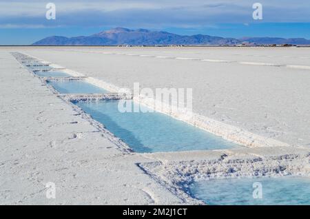 Vasche di evaporazione del sale a Salinas Grandes a Jujuy, Argentina. Foto Stock