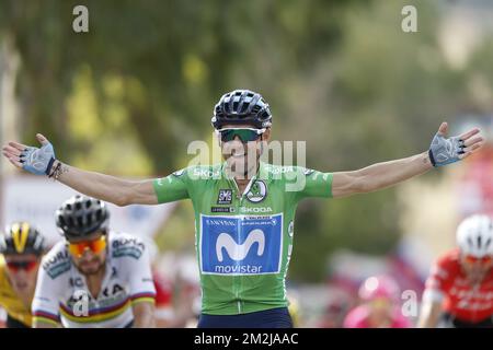 Lo spagnolo Alejandro Valverde del Movistar Team festeggia dopo aver vinto l'ottava tappa della 'Vuelta a Espana', Tour della Spagna in bicicletta, a 195,1 km da Linares ad Almaden, Spagna, sabato 01 settembre 2018. FOTO DI BELGA YUZURU SUNADA FRANCE OUT Foto Stock