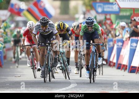 Lo spagnolo Alejandro Valverde del Movistar Team (R) vince davanti allo slovacco Peter Sagan di Bora-Hansgohe nell'ottava tappa della 'Vuelta a Espana', Tour della Spagna gara ciclistica, a 195,1 km da Linares ad Almaden, Spagna, sabato 01 settembre 2018. FOTO DI BELGA YUZURU SUNADA FRANCE OUT Foto Stock