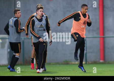 Leander Dendoncker del Belgio e Youri Tielemans del Belgio hanno illustrato durante una sessione di formazione della nazionale belga The Red Devils, a Tubize, martedì 13 novembre 2018. Il Belgio si prepara a due partite della Nation League, contro l'Islanda e la Svizzera. FOTO DI BELGA BRUNO FAHY Foto Stock