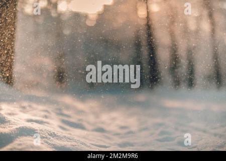 Gelido paesaggio invernale offuscato nella foresta innevata. Sfondo di Natale con alberi e sfondo sfocato dell'inverno. Closeup artistico natura, toni freddi Foto Stock