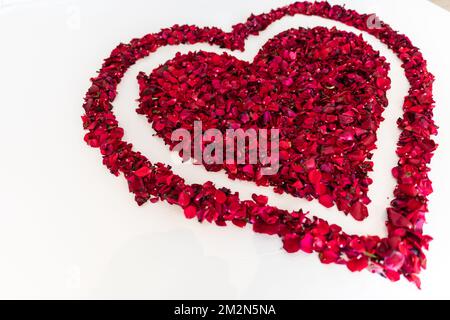 Fiori di rosa rossi in una cornice a forma di cuore. San Valentino forma del cuore fatta di rose rosse isolate su sfondo bianco sotto la luce naturale. Foto Stock