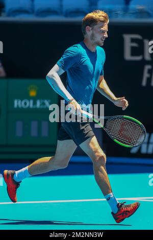 David Goffin belga nella foto durante una sessione di allenamento all'Australian Open di tennis Grand Slam, venerdì 11 gennaio 2019 a Melbourne Park, Melbourne, Australia. Questo primo grande slam della stagione si svolgerà dal 14 al 27 gennaio. FOTO DI BELGA PATRICK HAMILTON Foto Stock