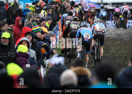 Immagine scattata durante la corsa maschile d'élite del ciclocross della Coppa del mondo a Hoogerheide, Paesi Bassi, 9th e ultima tappa del concorso della Coppa del mondo UCI, domenica 27 gennaio 2019. FOTO DI BELGA DAVID STOCKMAN Foto Stock