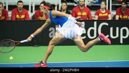 Il francese Caroline Garcia ha mostrato durante un incontro di tennis tra il belga Elise Mertens e il francese Caroline Garcia, terza gomma della Fed Cup di tennis tra il Belgio e la Francia, i quarti di finale del Gruppo Mondiale, domenica 10 febbraio 2019 a Liegi. BELGA FOTO BENOIT DOPPAGNE Foto Stock