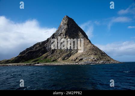 Bleiksøya è un'isola rocciosa al largo della costa occidentale dell'isola di Andøya, nell'arcipelago di Vesterålen, dove si riproducono migliaia di puffini. Foto Stock