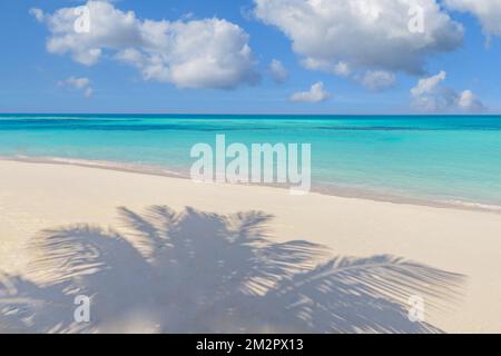 Paradise spiaggia di sabbia bianca soleggiata e palme coco lascia ombre. Paesaggio di vacanza di estate, concetto di spiaggia tropicale. Idilliaco modello natura, copia spazio Foto Stock