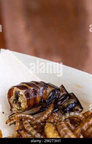 Grubs di legno fritti, lombrichi e scarafaggi su un tagliere di legno. Insetti fritti come fonte di proteine nella dieta. Foto Stock