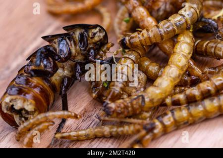 Grubs di legno fritti, lombrichi e scarafaggi su un tagliere di legno. Insetti fritti come fonte di proteine nella dieta. Foto Stock