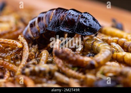 Grubs di legno fritti, lombrichi e scarafaggi su un tagliere di legno. Insetti fritti come fonte di proteine nella dieta. Foto Stock