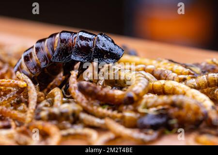 Grubs di legno fritti, lombrichi e scarafaggi su un tagliere di legno. Insetti fritti come fonte di proteine nella dieta. Foto Stock