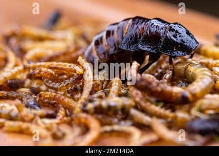 Grubs di legno fritti, lombrichi e scarafaggi su un tagliere di legno. Insetti fritti come fonte di proteine nella dieta. Foto Stock