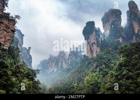 Misty cime ripide di montagna a Zhangjiajie, Cina. Avatar galleggianti montagne paesaggio Foto Stock