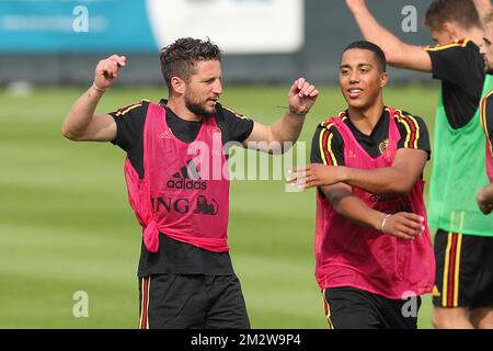 Belgium's Dries Mertens and Belgium's Youri Tielemans pictured during a training session of Belgian national soccer team the Red Devils, Tuesday 04 June 2019. The team will be playing two European Cup 2020 qualification games against Kazachstan and Scotland in Belgium. BELGA PHOTO BRUNO FAHY Stock Photo