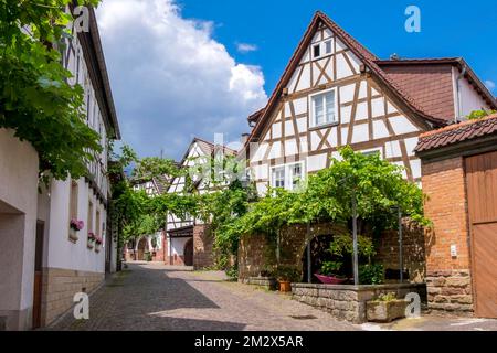 Strada del villaggio nel villaggio del vino Gleiszellen, Palatinato del Sud, Palatinato, Renania-Palatinato, Germania Foto Stock