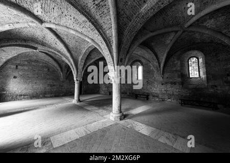 Volta dei ruderi della chiesa dell'Abbazia di San Galgano, fotografia in bianco e nero, vicino a Monticiano, Toscana, Italia Foto Stock