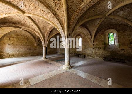 Volta dei ruderi della chiesa dell'Abbazia di San Galgano, nei pressi di Monticiano, Toscana, Italia Foto Stock