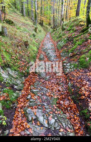 Strada celtica, strada romana, Rottegg, strada storica vicino a Klais, Werdenfelser Land, alta Baviera, Baviera, Germania Foto Stock