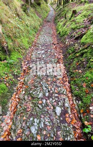 Strada celtica, strada romana, Rottegg, strada storica vicino a Klais, Werdenfelser Land, alta Baviera, Baviera, Germania Foto Stock