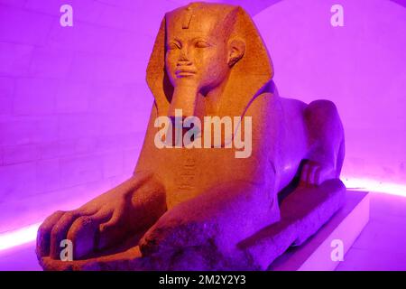 The Great Sphinx of Tanis in purple illumination. Louvre Museum, Paris, France. Stock Photo