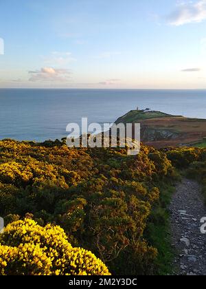 Alle scogliere di Howth in Irlanda. la foto mostra una bella giornata di primavera con un ampio paesaggio, uno sfondo oceano e un faro. Foto Stock