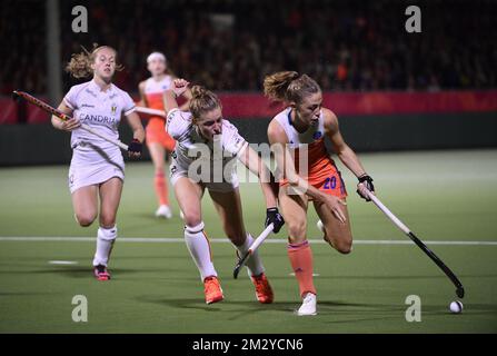 Emma Puvrez in Belgio e Laura Nunnink in Olanda combattono per la palla durante una partita di hockey tra la nazionale femminile belga Red Panthers e i Paesi Bassi, partita 1/3 nel Pool A dei campionati europei 'EuroHockey', sabato 17 agosto 2019 a Wilrijk, Anversa. FOTO DI BELGA JOHN THYS Foto Stock