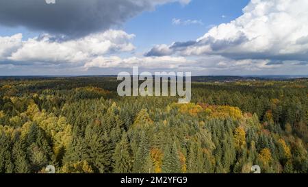 Veduta aerea del parco naturale di colore autunnale Westliche Waelder vicino ad Augusta, Swabia, Baviera, Germania Foto Stock