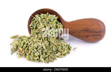 Semi di finocchio in cucchiaio di legno, isolato su fondo bianco. Grani di finocchio verde. Spezie ed erbe aromatiche Foto Stock