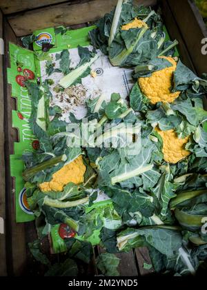 Cavolfiore giallo in uno stand di frutta e verdura a New York mercoledì 7 dicembre 2022. (© Richard B. Levine) Foto Stock