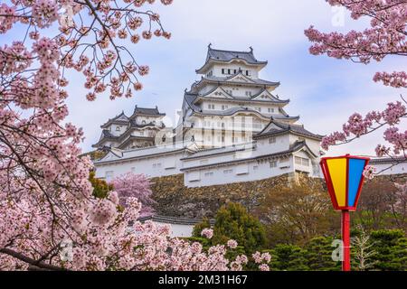 Himeji, Giappone presso il castello di Himeji durante la primavera la fioritura dei ciliegi stagione. Foto Stock