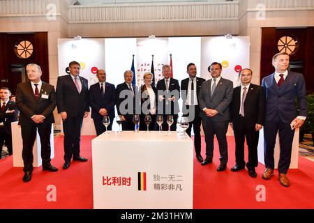 Ambasciatore belga in Cina Marc Vinck, presidente del Consiglio fiammingo Jan Jambon, vice ministro vallone Willy Borsus, vice primo ministro Didier Reynders, principessa belga Astrid, ministro Pieter De CREM, segretario di Stato della regione di Bruxelles Pascal Smet, ministro Philippe De Backer, Ambasciatore della Cina in Belgio Cao Zhongming e Console Generale del Belgio a Shanghai Paul Lambert posa per una foto di famiglia durante una missione belga di commercio economico in Cina, mercoledì 20 novembre 2019. Diversi ministri federali e regionali accompagnano la principessa in una missione economica in Cina dal 18 al 23 N Foto Stock