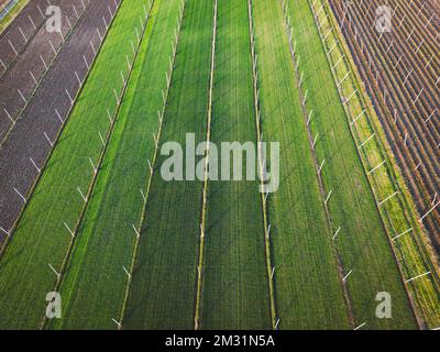 Veduta aerea dei campi agricoli nella campagna della Slovenia Foto Stock