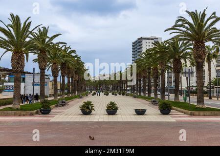 Passeig de Jaume i, passeggiata della città con palme, piante e fiori. Salou, Tarragona, Spagna. Giorno d'inverno. Foto Stock