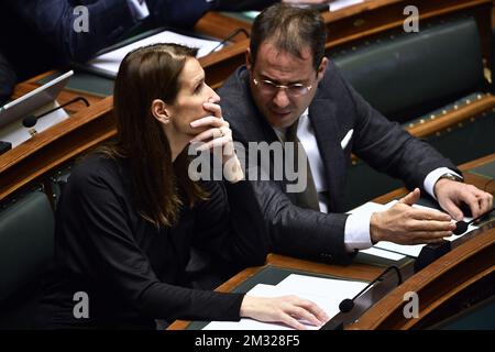 Il primo ministro belga Sophie Wilmes e il vice primo ministro e ministro del bilancio, dei servizi civili e della scienza David Clarinval hanno illustrato in una sessione plenaria della Camera al Parlamento federale a Bruxelles, giovedì 30 gennaio 2020. FOTO DI BELGA ERIC LALMAND Foto Stock