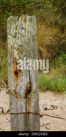 Contea di Cushendun in basso Irlanda del Nord, 08 2022 settembre - singolo posto di recinzione intemperato ed eroso sulla spiaggia di Cushendun Foto Stock