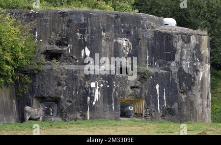 L'immagine aerea del drone mostra il forte Eben-Emael a Eben-Emael, Bassenge, vicino al confine belga/olandese, lunedì 03 agosto 2020. FOTO DI BELGA ERIC LALMAND Foto Stock