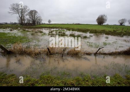 L'immagine mostra un campo allagato a causa dell'alto livello dell'acqua del fiume 'Marco' a Herne, sabato 30 gennaio 2021. A seguito delle forti precipitazioni degli ultimi giorni, il livello delle acque di diversi fiumi è in aumento, il che potrebbe portare ad alluvioni in alcune zone. FOTO DI BELGA NICOLAS MAETERLINCK Foto Stock