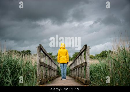rear view of a person standing in the middle of a wooden bridge with a dark moody sky Foto Stock