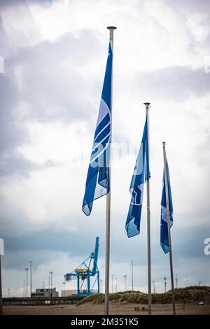 L'immagine mostra la presentazione delle Bandiere Blu belghe 2021, a Zeebrugge, sabato 15 maggio 2021. Ai titolari di 39 verrà assegnato il marchio di qualità internazionale Bandiera Blu. Le bandiere blu sono simbolicamente issate sui palchi della spiaggia di Zeebrugge. Blue Flag è un marchio internazionale di qualità ecologica che viene assegnato a spiagge, laghetti e porti che eccellono in sostenibilità e qualità. Quest'anno, tra le altre cose, sarà messo in luce l'aspetto dell'accessibilità delle spiagge per le sedie a rotelle. BELGA FOTO KURT DESPLENTER Foto Stock