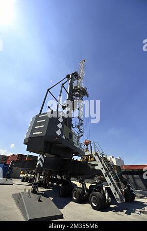 L'illustrazione mostra lo stabilimento aziendale del Gruppo Gosselin, specialista dei servizi di movimentazione e logistica, giovedì 10 giugno 2021, presso il porto di Anversa. FOTO DI BELGA ERIC LALMAND Foto Stock