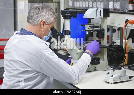 Il belga Johan Neyts, professore di virologia presso il Rega Institute for Medical Research dell'università di KU Leuven, esamina un microscopio, presso il laboratorio, a Leuven mercoledì 15 dicembre 2021. FOTO DI BELGA LAURIE DIEFFEMBACQ Foto Stock