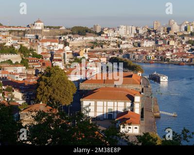 Vista su Porto da Crystal Palace Gardens fuori dalla foto (Jardins do Palácio de Cristal) Portogallo. Monastero Serra do Pilar in alto a sinistra. Foto Stock