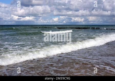 Paesaggio di mare con tronchi di legno come Wavebreaker andare nel mare tempestoso sotto le nubi di pioggia pesante grigio in giorno ventoso Foto Stock