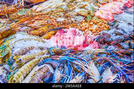 Varietà di pesce e pesce fresco su ghiaccio, mercato notturno di Chinatown a Bangkok, Thailandia Foto Stock