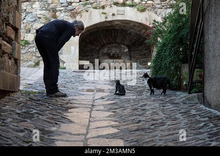 faccia a faccia tra un uomo e un gatto in una vecchia strada del villaggio Foto Stock