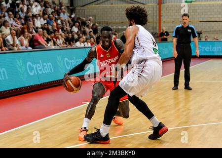 Dennis Schroder in Germania (17) e Jean-Marc Mwema in Belgio (8) hanno rappresentato in azione durante una partita di basket amichevole in vista dei campionati europei tra la nazionale belga "i leoni belgi" e la Germania, mercoledì 10 agosto 2022, a Hasselt. BELGA FOTO JILL DELSAUX Foto Stock